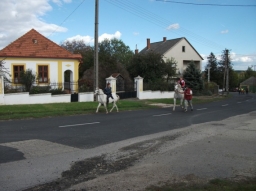 szuret2017_8_20220219
